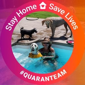 Meet your Posher, Lori